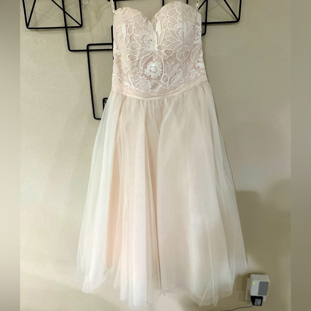 Chi Chi London blush/lace dress